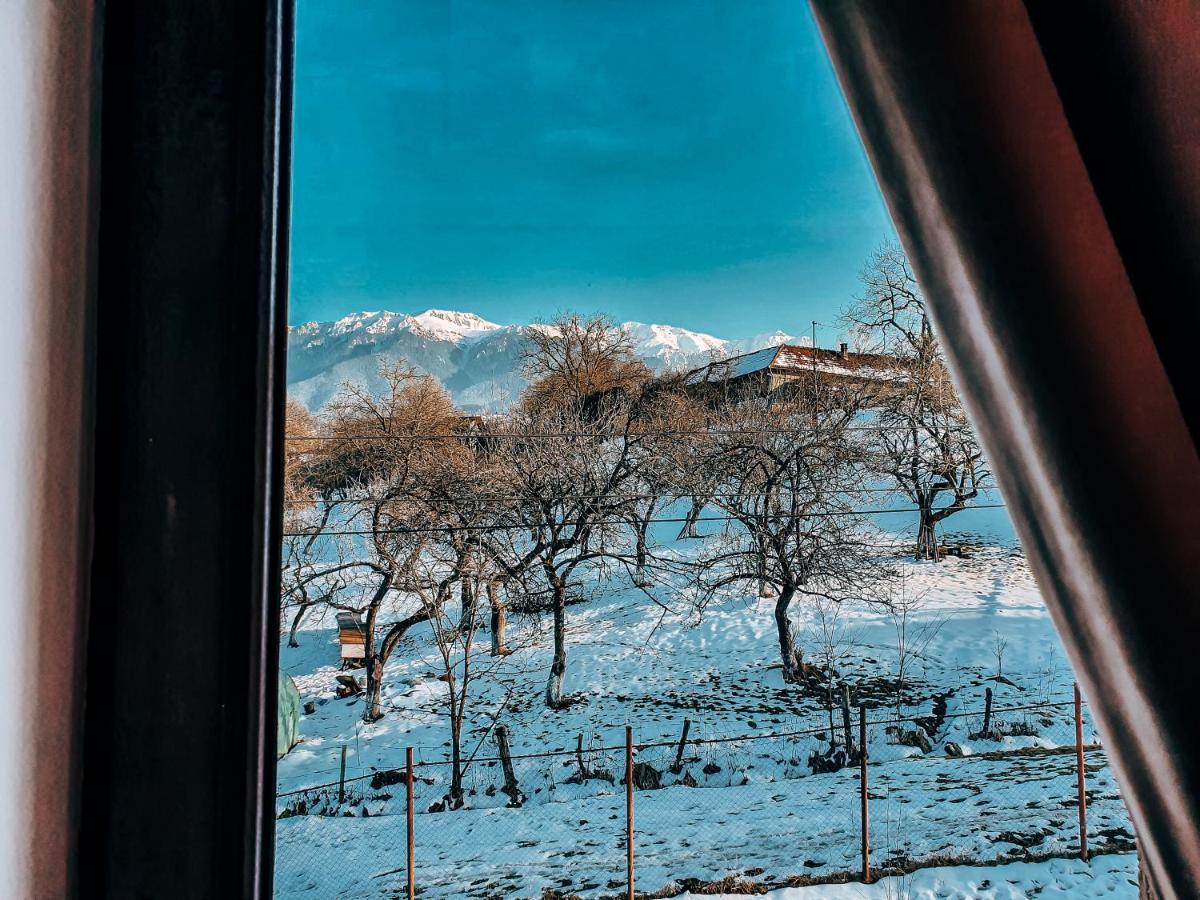 Transylvania Mountain View Cdi Bran  Buitenkant foto