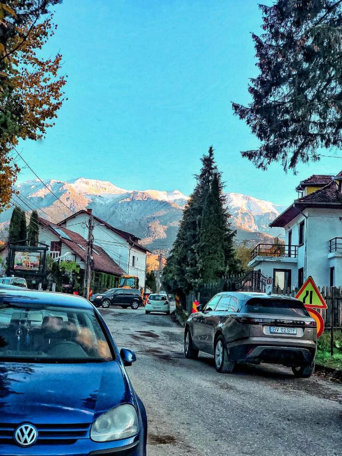 Transylvania Mountain View Cdi Bran  Buitenkant foto