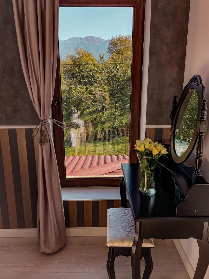 Transylvania Mountain View Cdi Bran  Buitenkant foto