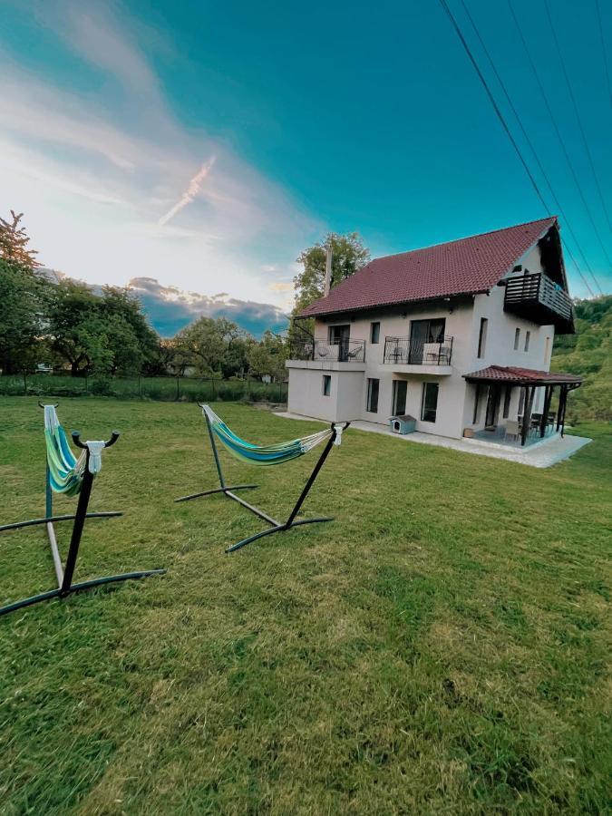 Transylvania Mountain View Cdi Bran  Buitenkant foto